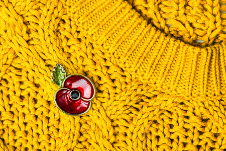 Red Poppy Pin as a Symbol of Remembrance Day, 11 Novemberの写真素材