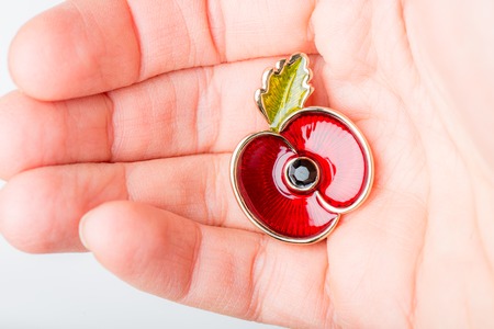 Red Poppy as a Symbol of Remembrance Day, 11 November