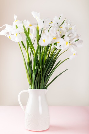 Beautiful White Iris Flowers in the Vase, minimalistic styleの写真素材