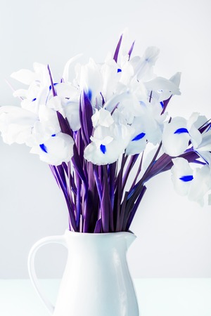 Beautiful White Iris Flowers in the Vase, minimal art, saturated imageの写真素材