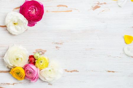 Ranunculus Buttercup Flowers of different colours, Frame from heads of flowers, Spring or Mothers...