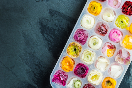 Tray with Frozen Ranunculus Flowers in Ice Cubes on Dark Background, top viewの写真素材