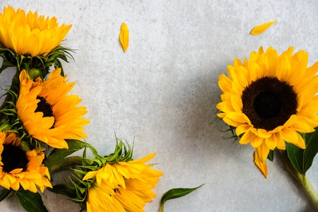 Yellow Sunflower Bouquet on Grey Background, Autumn Concept, Top View, Space for Text