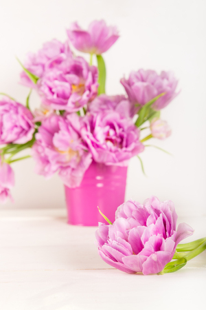 Beautiful Bunch of Peony Style Tulips in the Pink Pot, spring holiday concept, copy spaceの写真素材