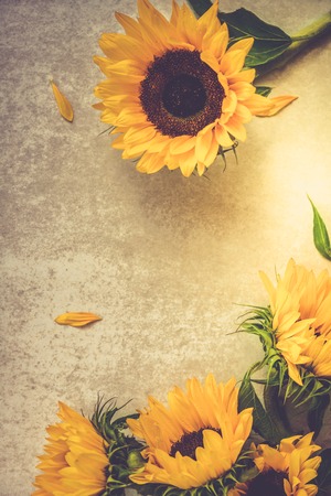 Yellow Sunflower Bouquet on Grey Background, Autumn Concept, Top View, Space for Text, Toned Imageの写真素材