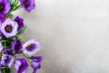 Beautiful Bouquet of Purple Eustoma flowers, Lisianthus, light backgroundの写真素材