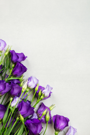 Beautiful Bouquet of Purple Eustoma flowers, Lisianthusの写真素材