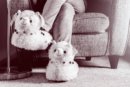 Young girl is wearing cute soft 3d llama slippersの写真素材