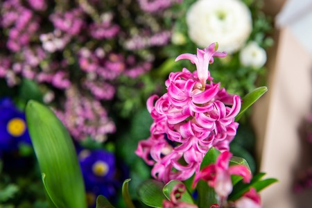 Gardening tools and flowers in the pots