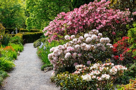 Beautiful Garden with blooming trees during spring time, Wales, UKの写真素材