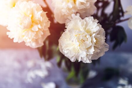 Bunch of amazing peonies in the vaseの写真素材