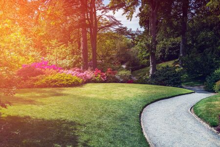 Beautiful Garden with blooming trees during spring time, Wales, UKの写真素材