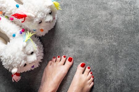 Cute soft 3d llama slippers and feet with red pedicure on the grey background