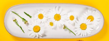 Floral camomile pattern on bright yellow background, top view, flat layの写真素材