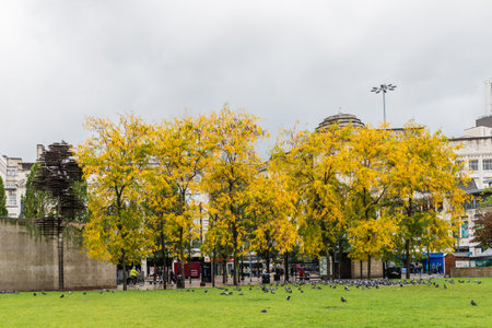 MANCHESTER, ENGLAND - 30 SEPTEMBER, 2018: Rainy autumn day in Manchester, UK, different views of the city centre at Piccadilly Gardensのeditorial素材