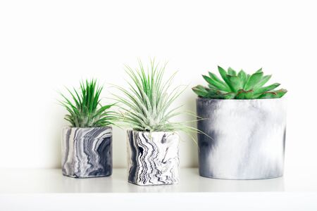 Collection of marbled geometric succulent planters with beautiful tiny succulent plants on white shelf against white wall. Lifestyle home decorationの写真素材