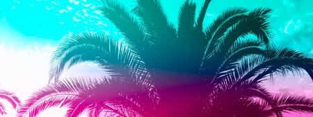 Summer holidays concept with palm trees against sky with clouds. Sunset at Crete, Greece. Image...