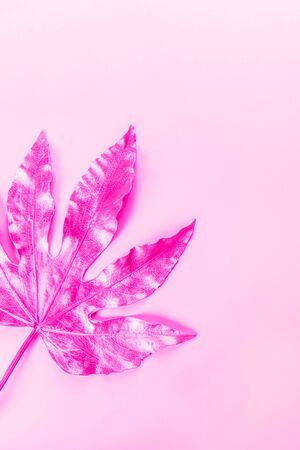 Beautiful Leaf painted in golden and copper metallic paint on pink background. Top view, copy space, flat lay, toned in pinkの写真素材