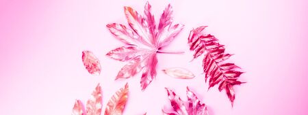 Beautiful Leaf painted in golden and copper metallic paint on pink background. Top view, copy space,...