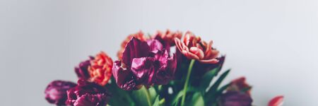 Beautiful Bunch of Peony Style Tulips in the Vase on the white background, spring holiday concept, copy space, banner sizeの写真素材