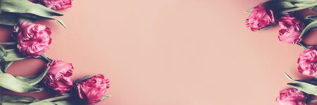 Flat lay with Beautiful Bunch of Peony Style Tulips on the dusty pink background, spring holiday concept, copy space, banner sizeの写真素材
