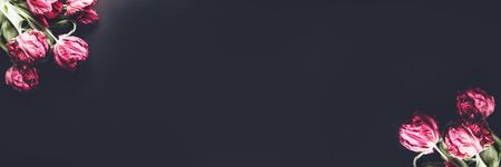 Flat lay with Beautiful Bunch of Peony Style Tulips on black background, spring holiday concept, copy space, banner sizeの写真素材