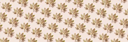 Beautiful Leaf Pattern. Leaves are painted in golden and copper metallic paint on pink background. Autumn minimalism. Isometric flat lay, banner sizeの写真素材