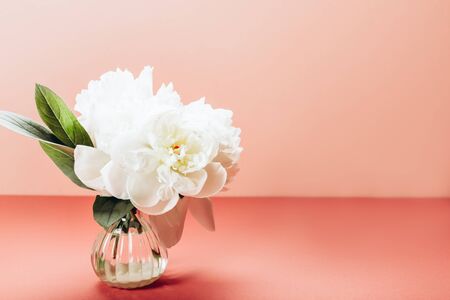 Fresh bunch of white peonies in small vase on dusty pink background. Card Concept, copy space for textの写真素材