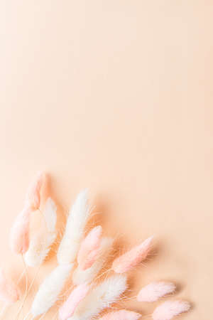 Home Decor from Rabbit Tail Grass Dried Flowers Bouquet, flat lay, copy spaceの写真素材