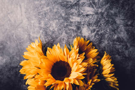 Yellow Sunflower Bouquet on grey Background, Autumn Concept, Top View, Space for Textの写真素材