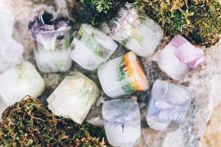 Frozen Flowers in Ice Cubes on Light Background, floral ice in moss