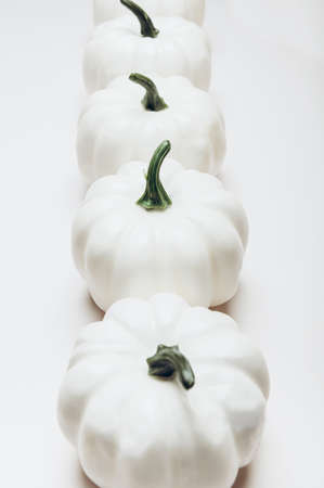 White Pumpkins on light background as minimal autumn concept, flat lay, top view. Halloween or Thanksgiving Holiday backgroundsの写真素材
