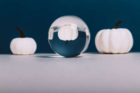 White Pumpkins on blue background with one pumpkin reflecting in crystal ball, trendy autumn conceptの写真素材