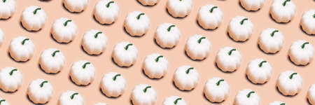 Pattern made from White Pumpkins on light pink background as minimal autumn concept, flat lay, top view. Halloween or Thanksgiving Holiday backgrounds, banner sizeの写真素材