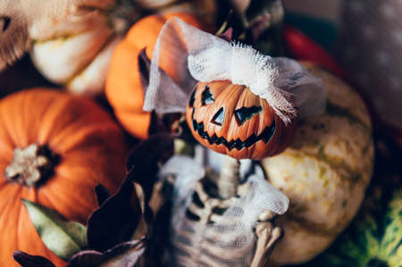 Different types of pumpkins and decorations in the box. Skeleton with pumpkin head in bridal oufitの写真素材