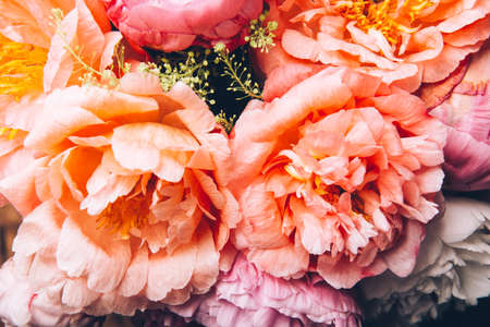 Abundance of Fresh bunch of Peonies Bouquet of different pink colors on dark wooden background. Card Concept, copy space for textの写真素材