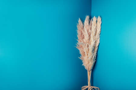 Reed Plume Stem, Dried Pampas Grass, Decorative Feather Flower Arrangement for Home, Beach Theme,...