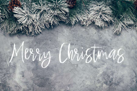 Merry Christmas white text. Christmas Tree Branches as a Frame on grey backgroundの写真素材
