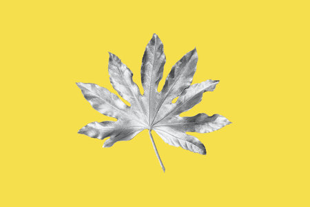 Beautiful Leaf painted in ultimate gray metallic paint on yellow illuminating background. Top view, copy space, colors of the year 2021の写真素材