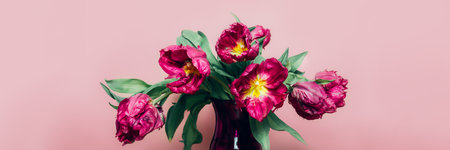 Beautiful Bunch of Peony Style Tulips in a Vase on the dusty pink background, spring holiday concept, copy spaceの写真素材