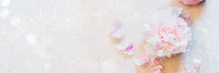 Frame made of pink peony flowers on white background. Feminine flower composition. Flat lay, top view, copy space, banner sizeの写真素材