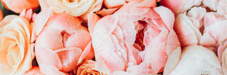 Fresh bunch of pink peonies and rosesの写真素材