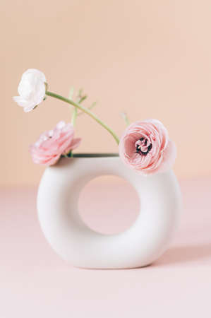 Tender ranunculus flowers in ceramic vase
