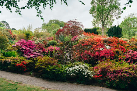 Beautiful Garden with blooming trees during spring timeの写真素材