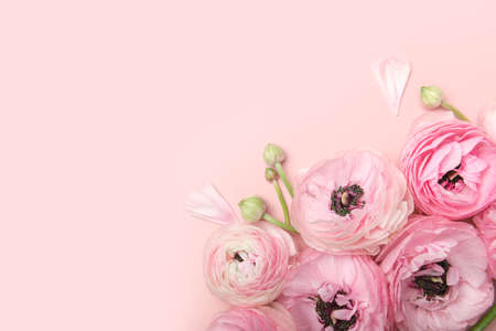 Floral arrangments of tender ranunculus flowersの写真素材