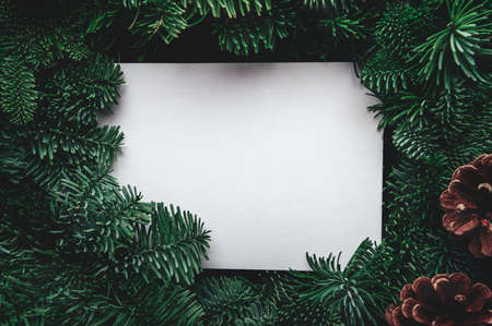 Frame from Xmas tree branches with mock up