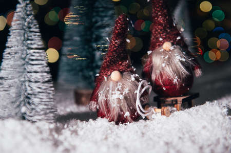 Christmas Gnomes in snowy forest, xmas postcardの写真素材