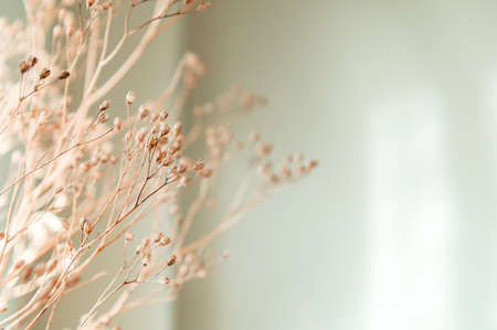 Decor from dry flowers or twigsの写真素材