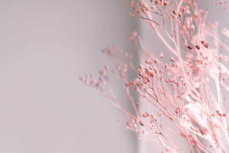 Decor from dry flowers or twigsの写真素材