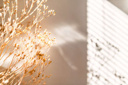 Decor from dry flowers or twigsの写真素材